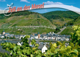 73173260 Zell Mosel Panorama Blick Ueber Die Mosel Weinberge Zell Mosel - Sonstige & Ohne Zuordnung