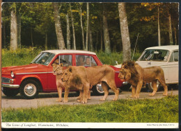 °°° 30913 - UK - THE LIONS OF LONGLEAT , WARMINSTER - 1968 With Stamps °°° - Otros & Sin Clasificación