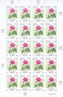 Argentina - 2021 - Flowers - 90 Years Of Diplomatic Relations - Joint Issue With Bulgarie - Sheets Set - MNH - - Ungebraucht