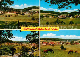 73172400 Scharbach Pferde Scharbach - Other & Unclassified