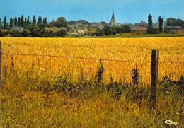 Feluy - Panorama Sur Le Village - Sonstige & Ohne Zuordnung