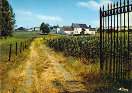 Feluy - La Ferme Du Capitaine - Andere & Zonder Classificatie