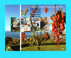 PTB1683- PORTUGAL (MADEIRA) 2010 Nº 417 (selo 3950)- CTO - Blocks & Sheetlets