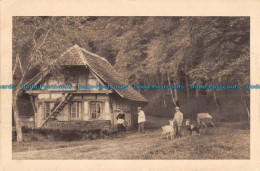 R044360 Old Postcard. People Near The House - Welt