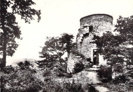 Barvaux Sur Ourthe - La Tour Du Diable - Sonstige & Ohne Zuordnung