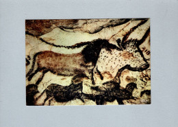 Histoire - Grotte De Lascaux - Premier Taureau, Cheval Rouge Et Chevaux Bruns - History