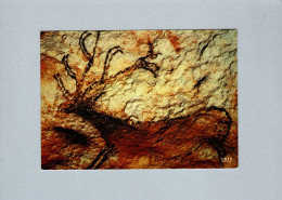 Histoire - Grotte De Lascaux - Cerf - History