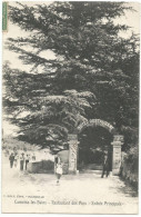 CAMOINS-LES BAINS (13) – Restaurant Des Pins – Entrée Principale. Editeur Ruat. - Non Classés