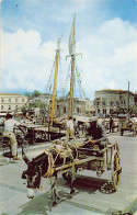 Barbados - BRIDGETOWN - Donkey Cart, Chamberlain Bridge - Publ. Barbados Publicity Committee  - Barbados (Barbuda)