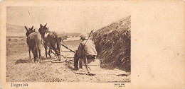 Israel - DEGANIA ALEF - Harvester - Kibbutz - Publ. Unknown  - Israel