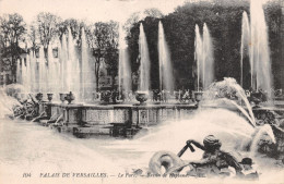 78-VERSAILLES LE PALAIS BASSIN DE NEPTUNE-N°T2515-G/0293 - Versailles (Château)