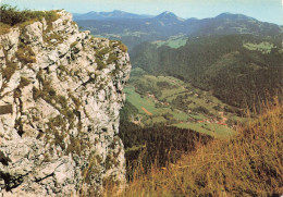 LES ROCHERS DU SOMMET DU MONT D OR - Sonstige & Ohne Zuordnung