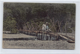 Liberia - MONROVIA - Tree Trunk Bridge - Publ. Franz Spenker - Liberia