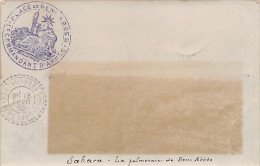 Algérie - BENI ABBÈS - La Palmeraie - CARTE PHOTO Février 1905 - Ed. Inconnu  - Altri & Non Classificati