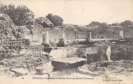 Algérie - TIPASA Tipaza - Fontaine Romaine De La Propriété Trémaux - Ed. J. Geiser 22 - Andere & Zonder Classificatie