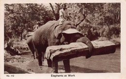India - Elephants At Work - Publ. Unknown - Indien