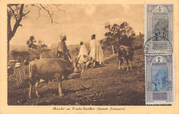 Guinée Conakry - Marché Au Fouta-Djalon - Ed. Inconnu  - Französisch-Guinea