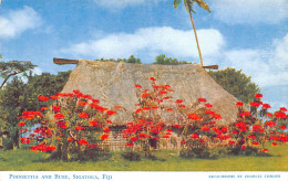 Fiji - SIGATOKA - Poinsettia And Bure - Publ. Charles Stinson 22 - Fiji