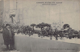 Japan - Bonsai Trees - L. Fonteneau, French Importer Based In Paris (rue Mesnil) - Andere & Zonder Classificatie