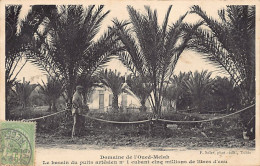 Tunisie - Domaine De L'Oued-Melah - Le Bassin Du Puits Artésien N°1 - Ed. F. Soler  - Tunisie