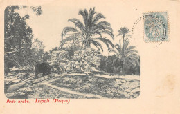 Libya - TRIPOLI - An Arab Well - Libya