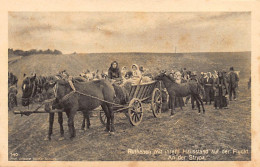 Ukraine - On The Strypa River (Ternopil Oblast) - Ruthenians On The Run With Their Household - World War One - Ukraine