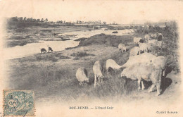 Maroc - BOUDNIB Bou Denib - L'Oued Guir - Moutons - Cliché Garaud - Ed. J. Geiser - Other & Unclassified