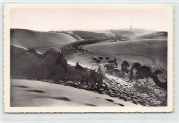 Maroc - MOGADOR Essaouira - Caravane Dans Les Dunes - Ed. Combier 19 - Other & Unclassified