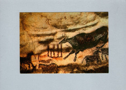 Histoire - Grotte De Lascaux - Vache Noir - Storia