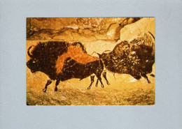 Histoire - Grotte De Lascaux - Bisons Adossés - Geschichte