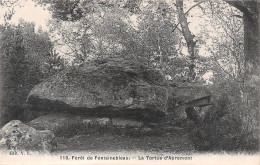 77-FONTAINEBLEAU LA FORET LA TORTUE D APREMONT-N°T2520-H/0359 - Fontainebleau