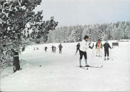 Le Ski De Fond - Sports D'hiver