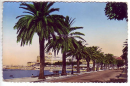 (83). Var. Saint Raphael. Promenade Rene Coty Plage Du Veillat 1986 & 1194 Bvd Felix Martin & Santa Lucia - Saint-Raphaël