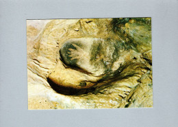 Histoire - Grotte De Gargas (65) - La Main à La Niche - Geschichte