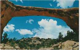 74 -Owachomo Natural Bridge - Other & Unclassified