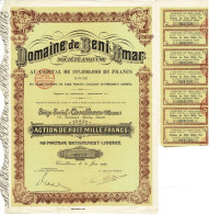 Titre De 1959 - Domaine De Beni-Amar - Société Anonyme - Déco - Maroc - Africa