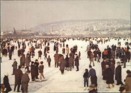 11640869 Zuerich Seegfroerni Zuerichsee Zuerich - Autres & Non Classés