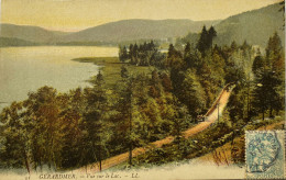 CPA GERARDMER (Vosges) - Vue Sur Le Lac - Gerardmer