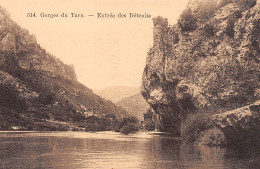 48-GORGES DU TARN-N°T2524-C/0231 - Gorges Du Tarn