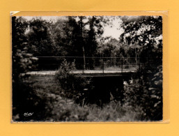 (08/05/24) 77-CPSM FONTAINE FOURCHES - Autres & Non Classés