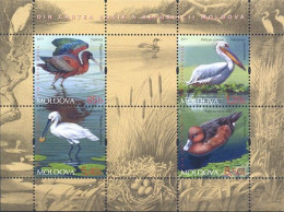 2011 769 Moldova Birds Fauna Of Moldova MNH - Moldova