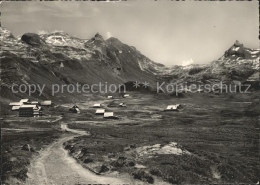 11640753 Tannalp Graustock Rotsandnollen Tannalp - Andere & Zonder Classificatie