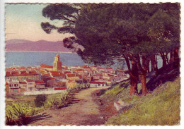 (83). St Tropez. 1292 Vue Générale 1953 & 143 & Vacances Chaton - Saint-Tropez