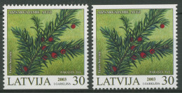 Lettland 2003 Geschützte Pflanzen Eibe 588 D/D Postfrisch - Latvia