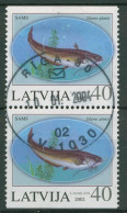 Lettland 2002 Tiere Fische Flusswels 575 D/D Gestempelt - Lettland