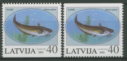 Lettland 2002 Tiere Fische Flusswels 575 D/D Postfrisch - Letonia