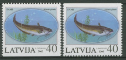 Lettland 2002 Tiere Fische Flusswels 575 D/D Postfrisch - Lettonia