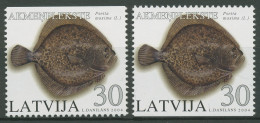 Lettland 2004 Fische Steinbutt 616 D/D Postfrisch - Lettland