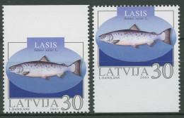 Lettland 2003 Tiere Fische Atlantischer Lachs 595 D/D Postfrisch - Lettland