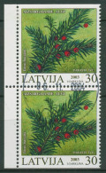 Lettland 2003 Geschützte Pflanzen Eibe 588 D/D Gestempelt - Lettonia